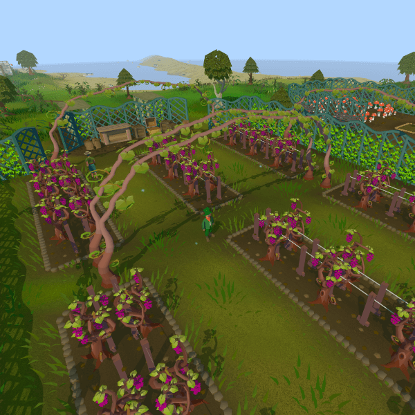 Vinery